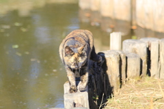 俺の通り道