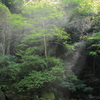 光注ぐ時