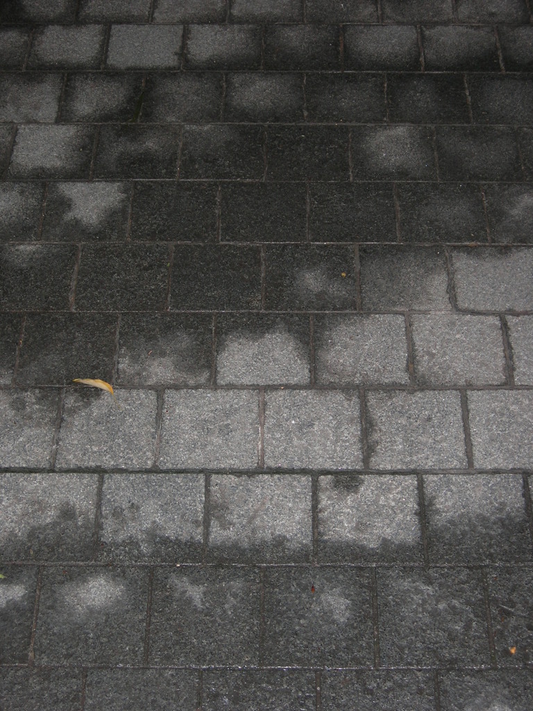 雨上がりの足元