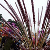 南京で飴