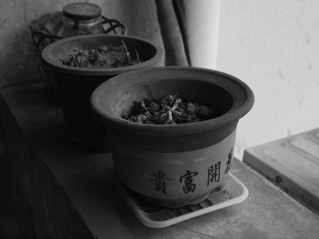 鉢