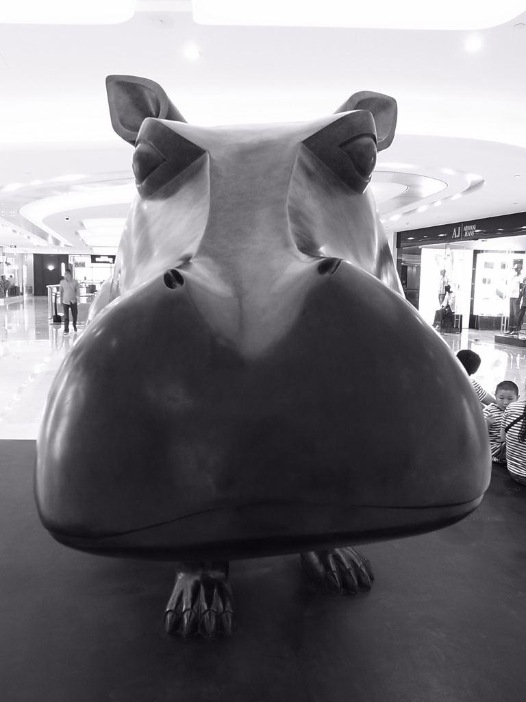 カバ