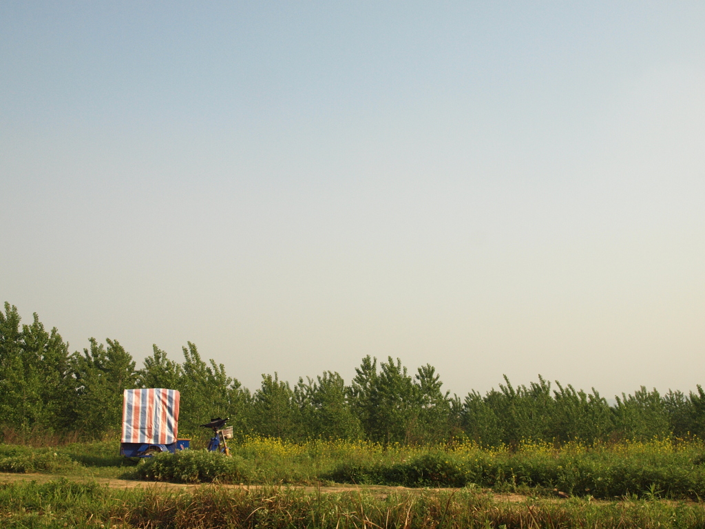 田舎の風景
