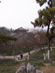 莫愁湖の風景