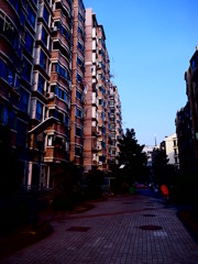近所
