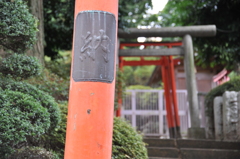根津