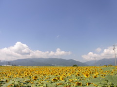 R0019508