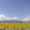 R0019508