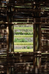 竹ハウス、窓