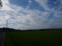 だいぶん、メタボのお腹は小さくなったか