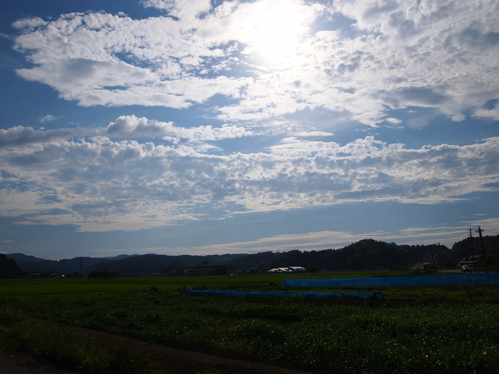 今年の夏は暑いのかな