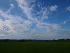 小学生にあった