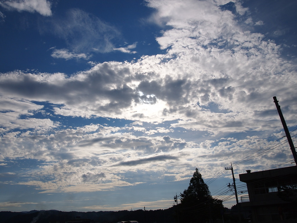 散歩してみました