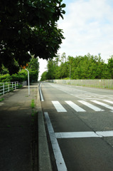 まだ続く道