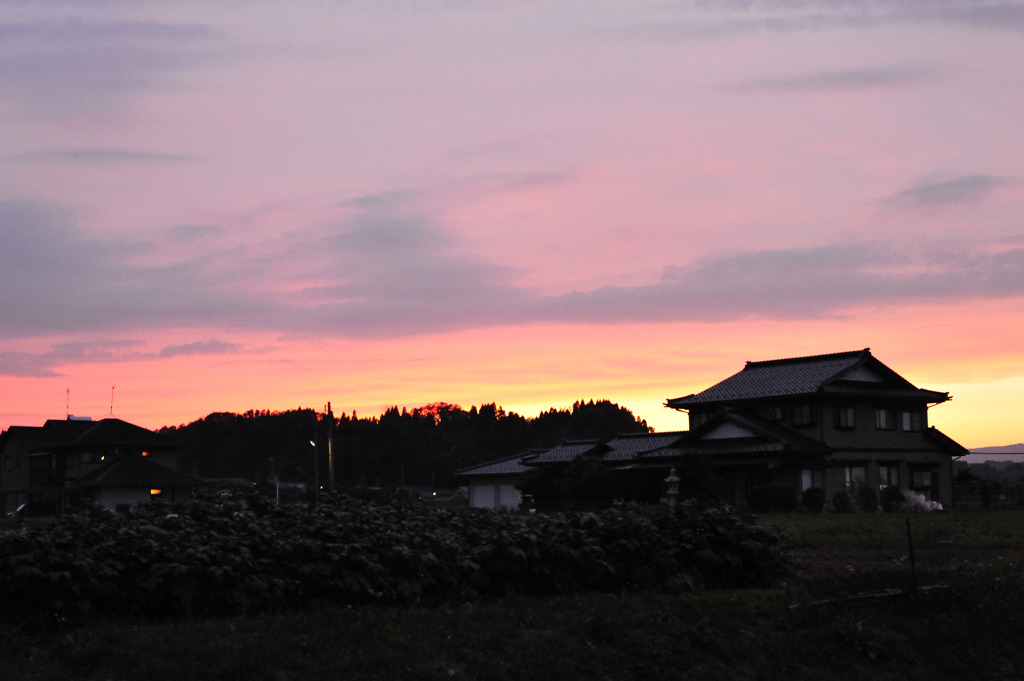 レンズ換えてみました