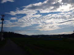 近所のおじさんが会釈した