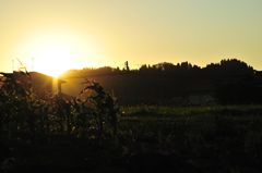 田舎の夕日