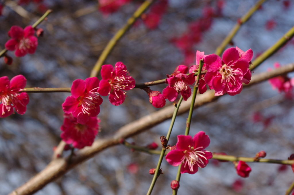 彩り