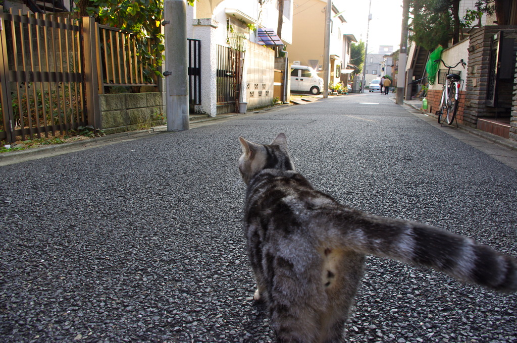 帰路