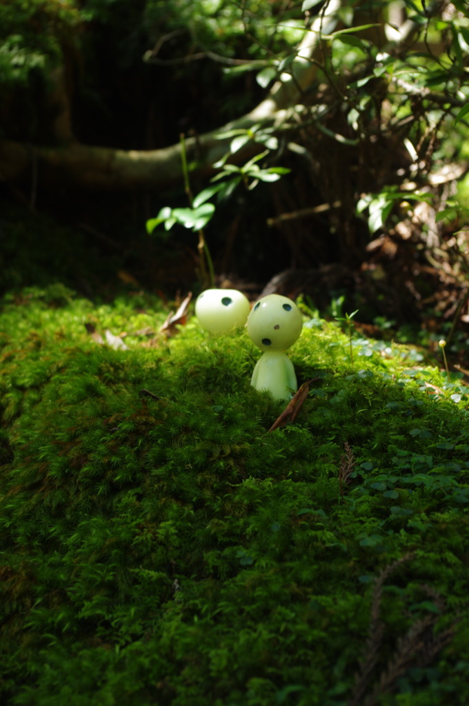 もののけの森