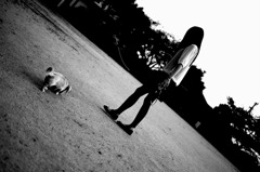 犬と嫁