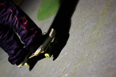 ｓｋ８
