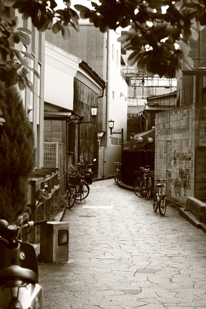 路地
