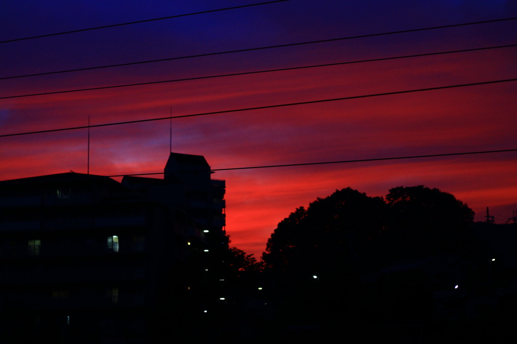pink sky