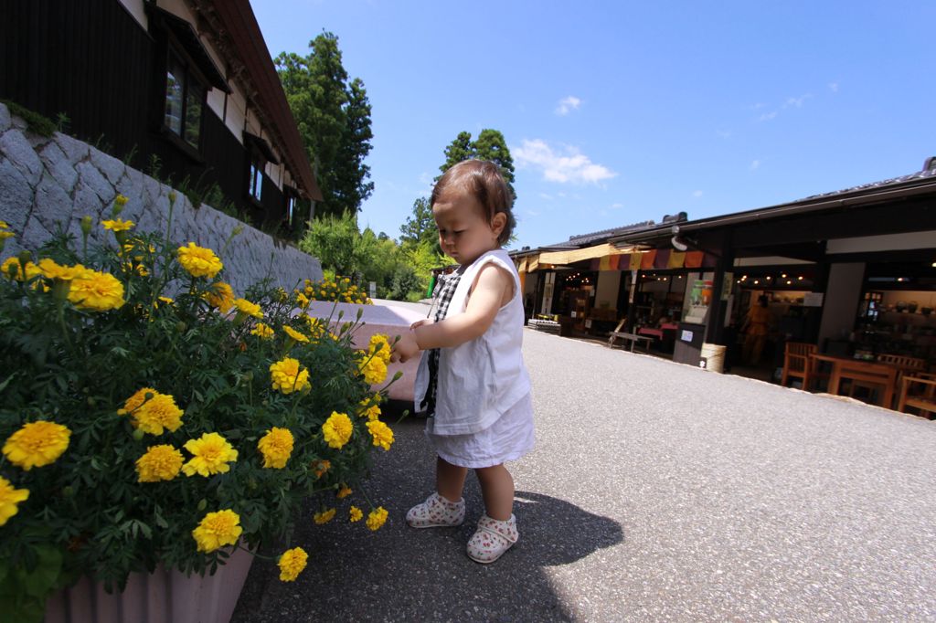 お花に釘付け