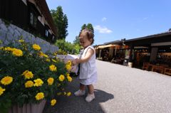 お花に釘付け