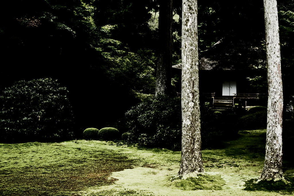 京都に行こう