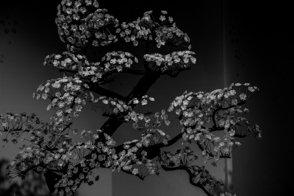 日本