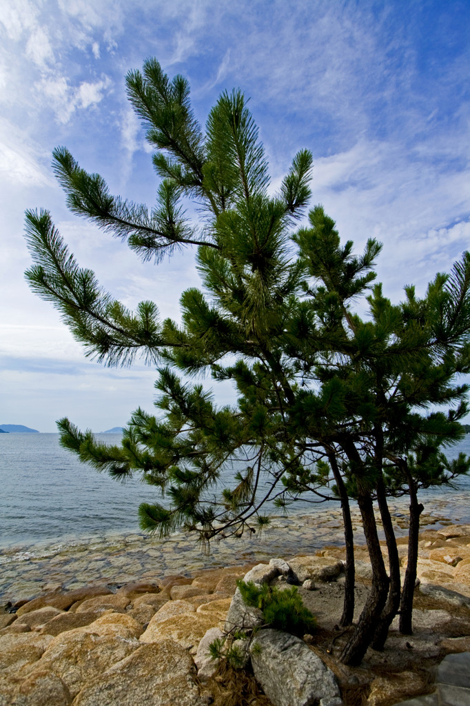 松、空、海