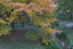 simogamo