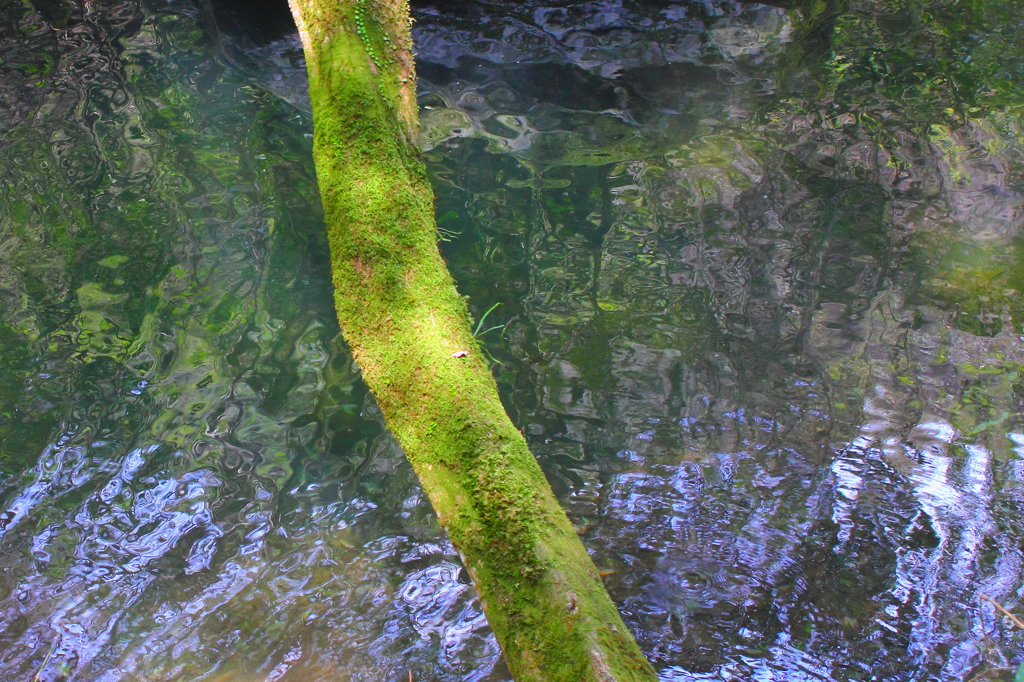 水面