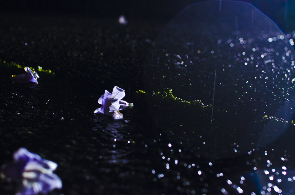 someday in the rain.