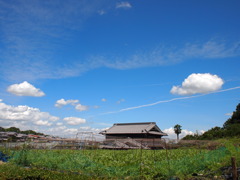 なつそら