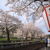 さくら駅♪