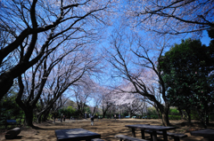 憩いの場　