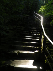 to the desire