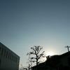 学び舎
