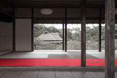 赤い 道