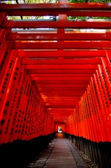 朱道