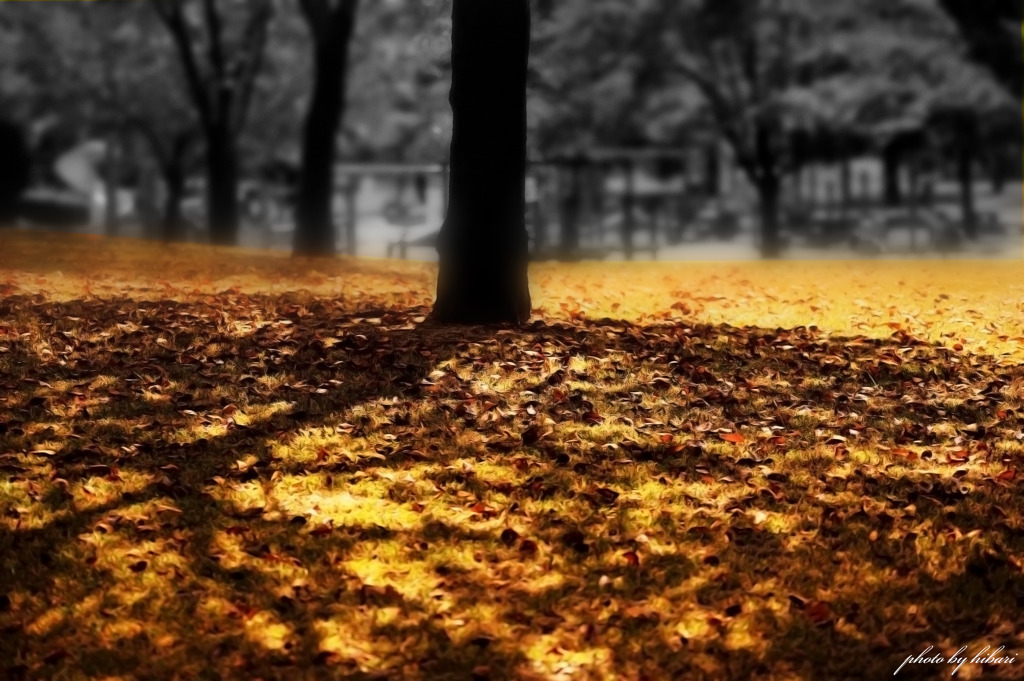 leaf