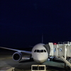 787　月下のflight