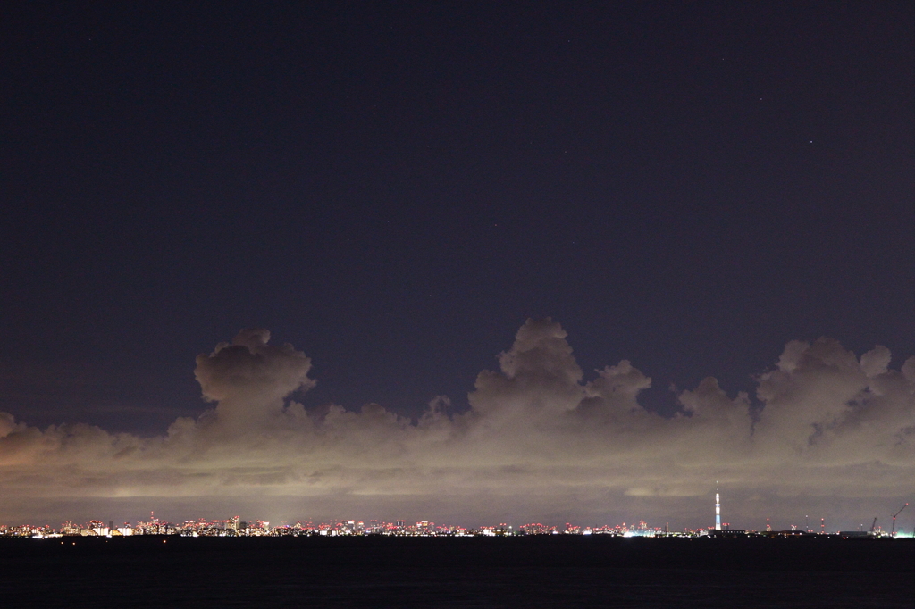 流れ雲の下のツリー