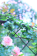 バラガーデン　Ⅰ