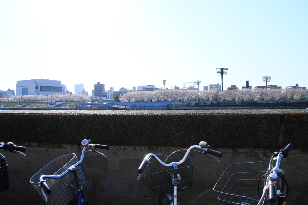 blue spring