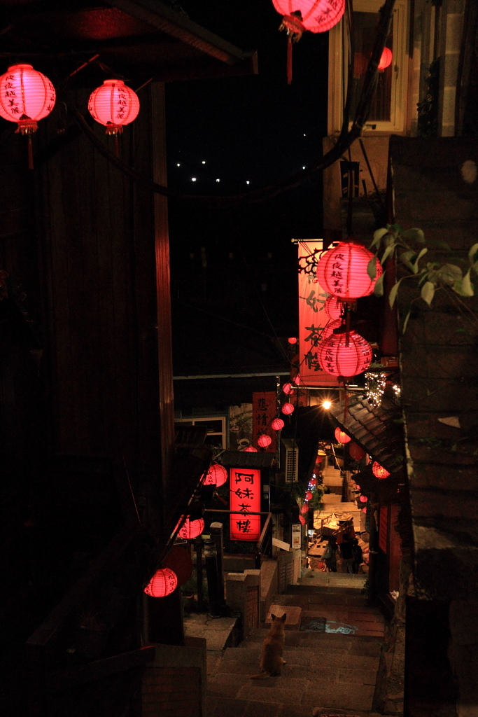 夜のさんぽ