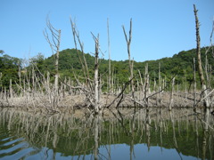 TAKATAKI
